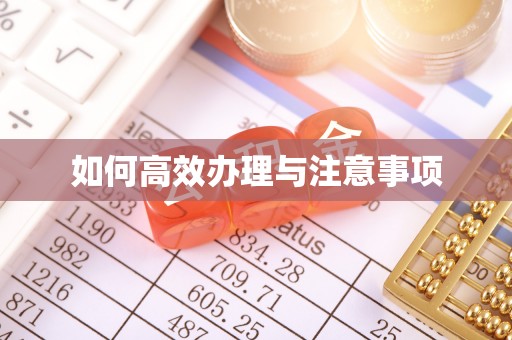 荆门如何高效办理与注意事项