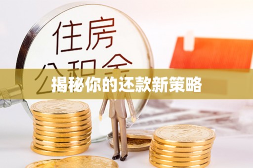 荆门揭秘你的还款新策略