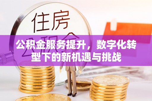 荆门公积金服务提升，数字化转型下的新机遇与挑战