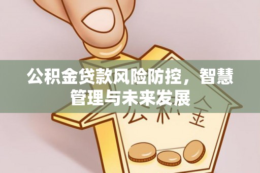 荆门公积金贷款风险防控，智慧管理与未来发展