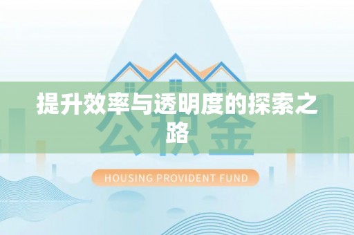荆门提升效率与透明度的探索之路