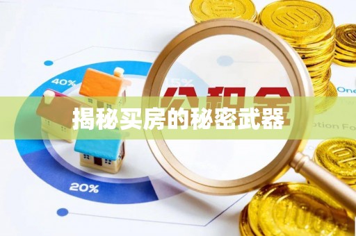荆门揭秘买房的秘密武器