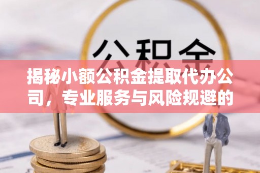 荆门揭秘小额公积金提取代办公司，专业服务与风险规避的平衡艺术