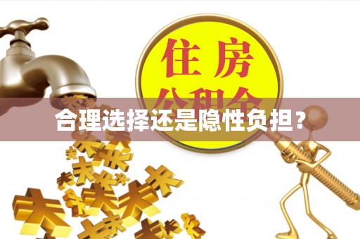 荆门合理选择还是隐性负担？