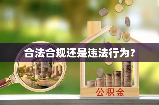 荆门合法合规还是违法行为？