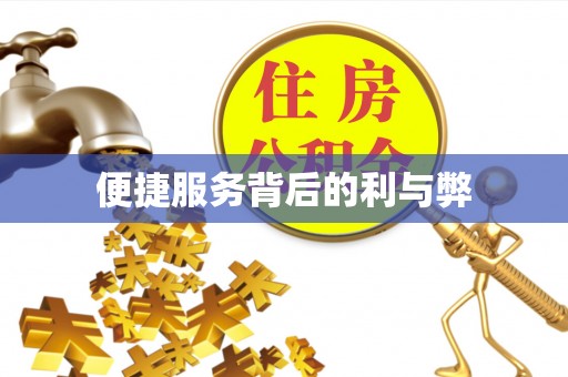 荆门便捷服务背后的利与弊